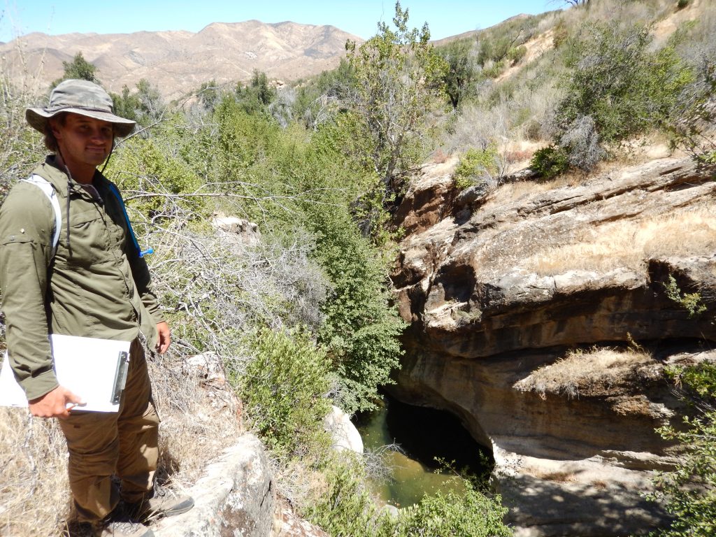 A recent project with the united States Forest Service gets the Blue Tomorrow field crew out searching for the last remaining strongholds over Endangered Southern California Steelhead. See the Project Page to find out more.