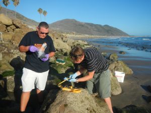 Eric Hopkins (right) collects and measures mussels with UC Santa Barbara PhD candidate Cruz Ortiz (left).