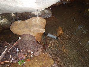 Dissolved oxygen and temperature logger deployed in a steelhead steam to continuously monitor oxygen levels and temperature.